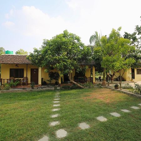Bardiya Eco Friendly Homestay Exterior foto