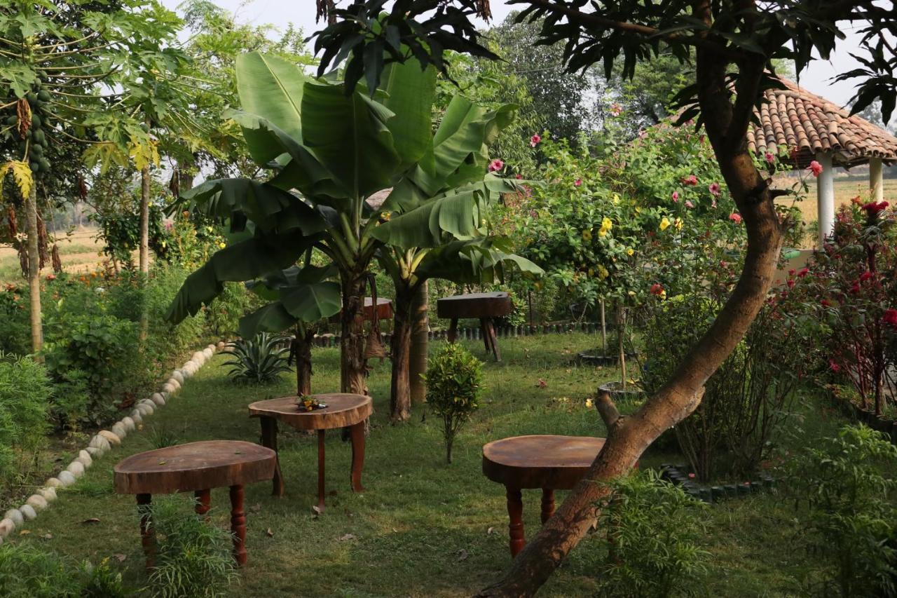 Bardiya Eco Friendly Homestay Exterior foto