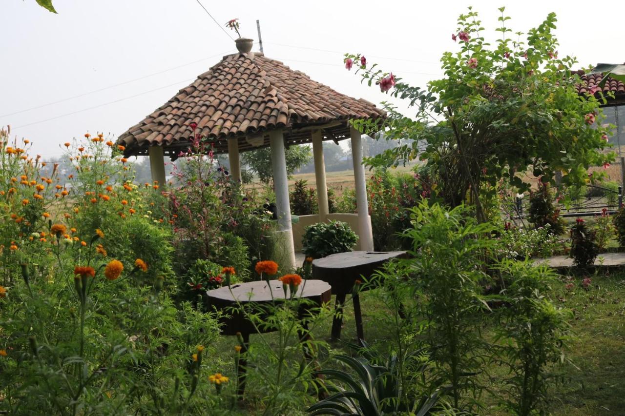 Bardiya Eco Friendly Homestay Exterior foto