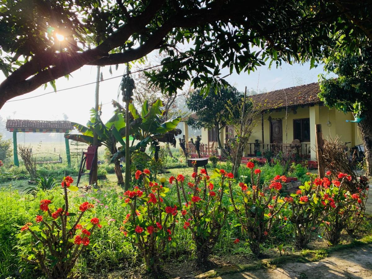 Bardiya Eco Friendly Homestay Exterior foto